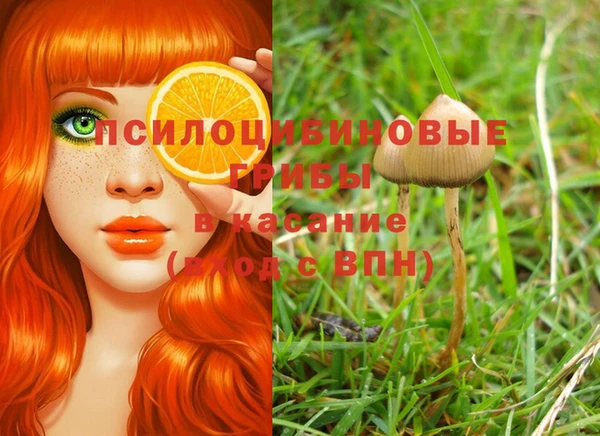 mdpv Ладушкин