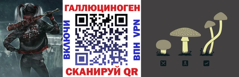 Купить  Знаменск  Псилоцибиновые грибы прущие грибы 